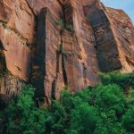 contact bg 150x150.jpg